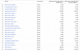 Recherche de mots clés avec Google Adwords